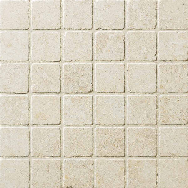 Seashell Tumbled 2×2 Limestone Mosaic 12×12 Image