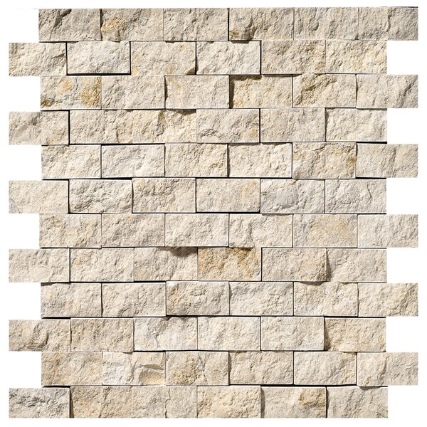 Seashell Rock Face 1×2 Limestone Mosaic 12 5/8×12 5/8 Image