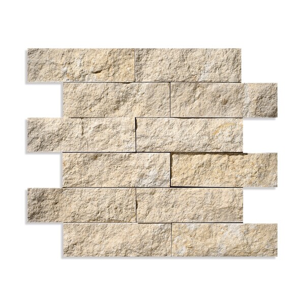 Seashell Rock Face 2×6 Limestone Mosaic 12×14 Image