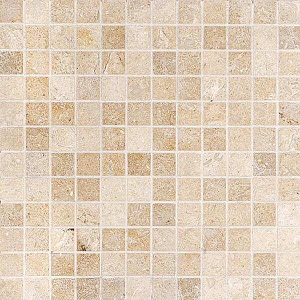Seashell Honed 1×1 Limestone Mosaic 12×12 Image