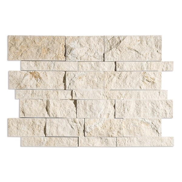 Seashell Split Face Slides Limestone Mosaic 11×17 Image