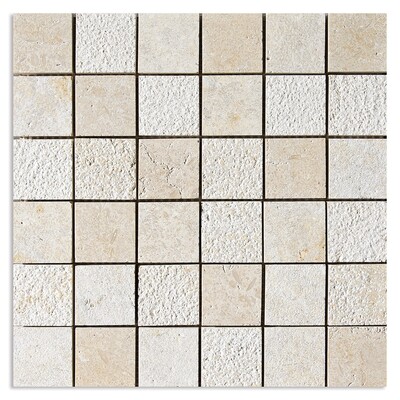 Seashell Textured 2x2 Limestone Mosaic 12x12