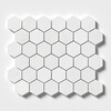 Aspen White Polished Hexagon Marble Mosaic 10 3/8×12 Image