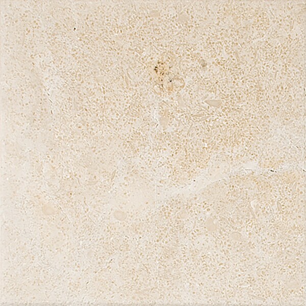 Seashell Honed Limestone Tile 4×4 Image