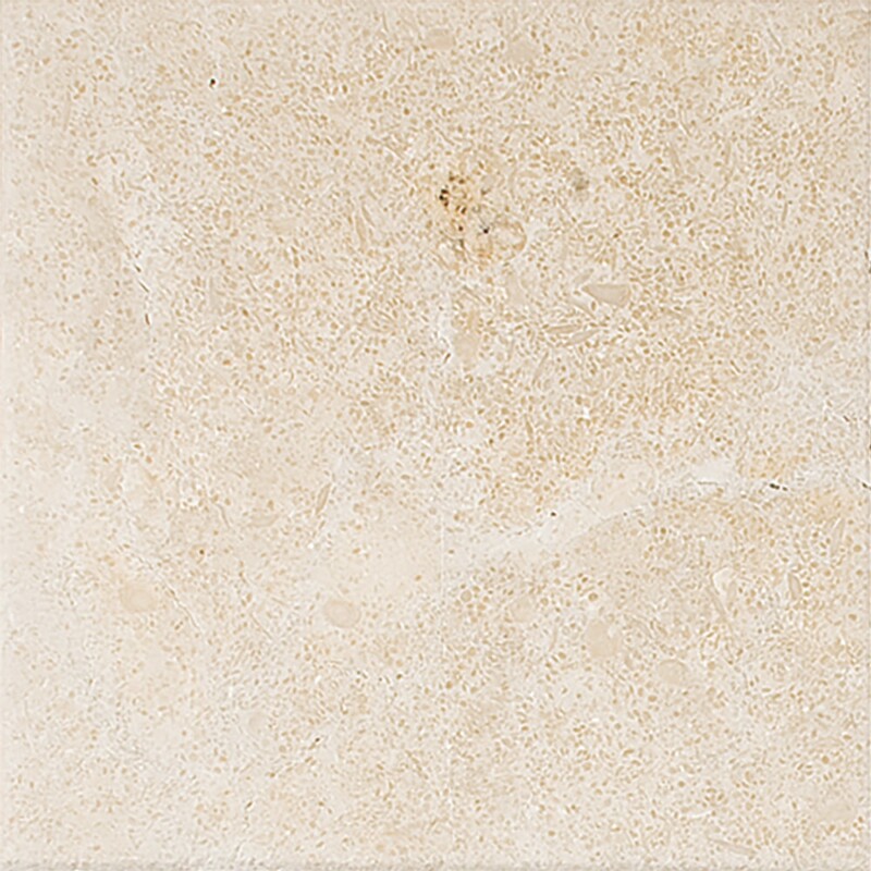 Seashell Honlanmış Limestone Karo 4x4