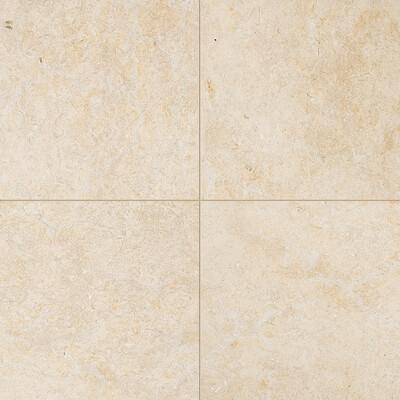 Seashell Honed Limestone Tile 18x18
