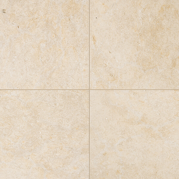Seashell Honed Limestone Tile 18×18 Image