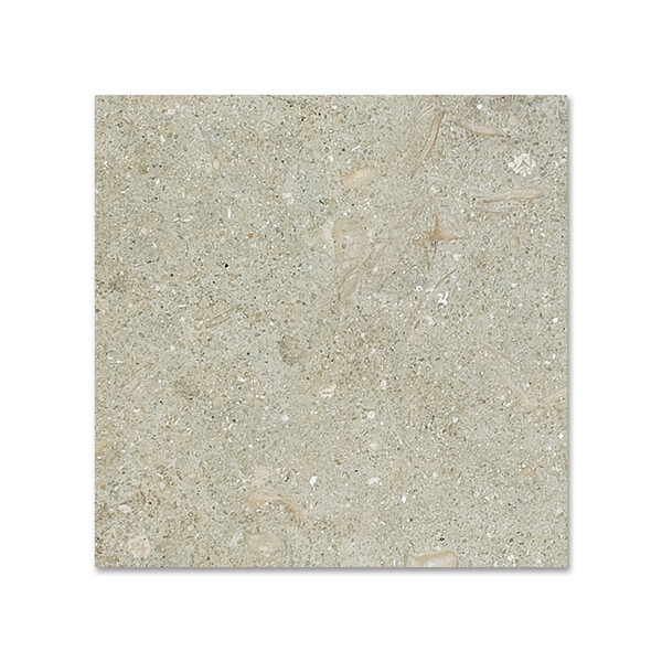 Olive Green Honed Limestone Tile 4×4 Image