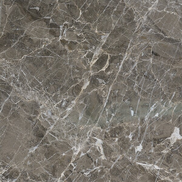 Arctic Gray Polished Marble Tile 18×18 Image