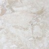 Imagem da peça de mármore Diana Royal Classic Honed 24×24