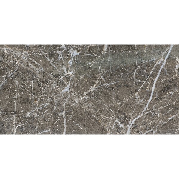 Arctic Gray Polished Marble Tile 11 13/16×23 5/8 Image