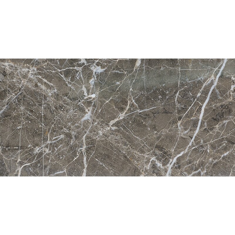 Arctic Gray Polished Marble Tile 11 13/16x23 5/8