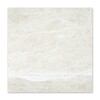 Royal Cream Polished Marble Tile 24×24 Image
