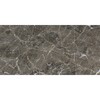 Arctic Gray Polished Marble Tile 12×24 Image