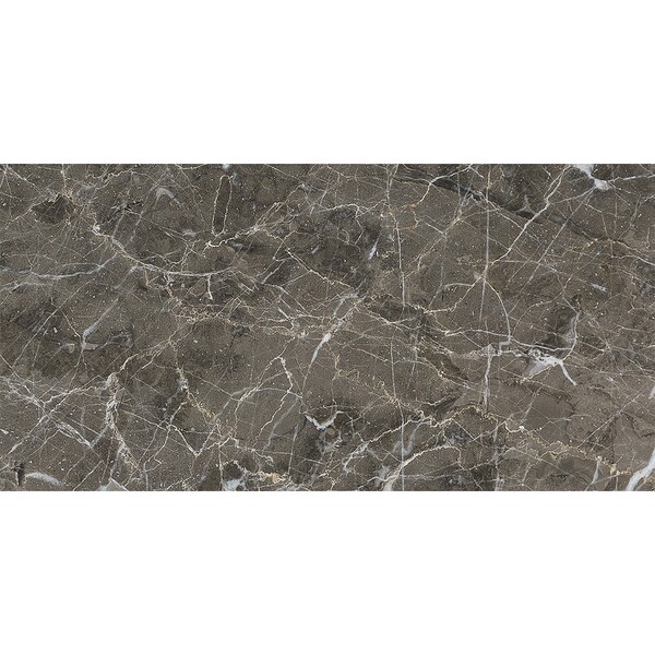 Arctic Gray Polished Marble Tile 12×24 Image