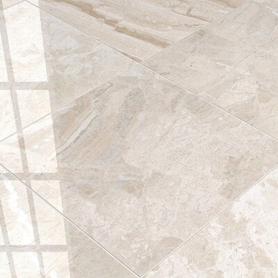 Diana Royal Honed Marble Tile 24x24