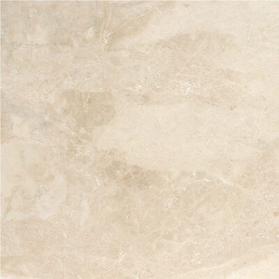 Cappuccino Polished Marble Tile 24x24