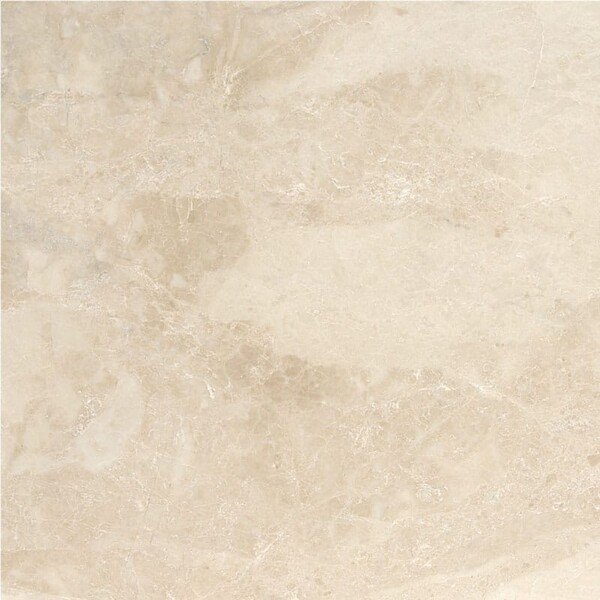 Cappuccino Polished Marble Tile 24×24 Image