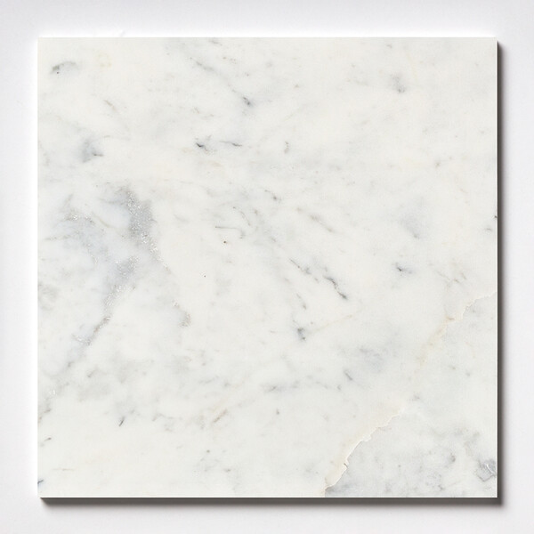 Avenza Honed Marble Tile 18×18 Image