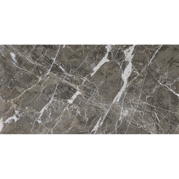 Arctic Gray Polished Marble Tile 24×24 Image