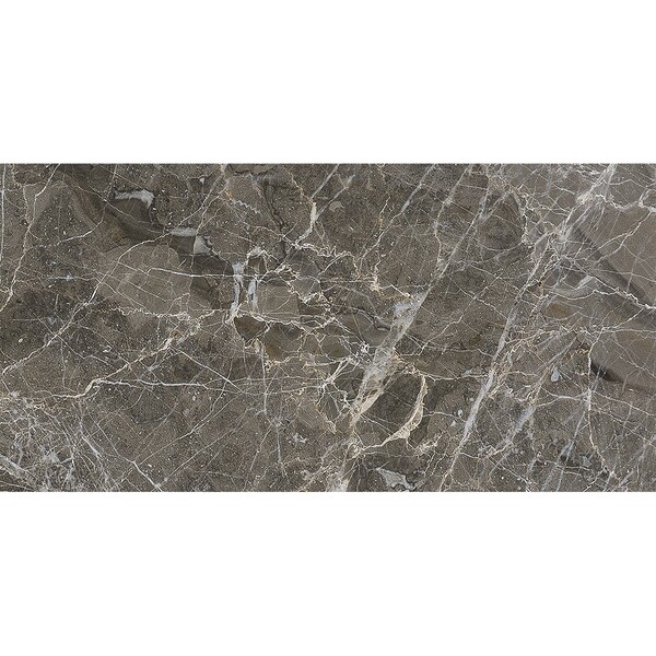 Arctic Gray Polished Marble Tile 2 3/4×5 1/2 Image