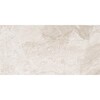 Diana Royal Polished Marble Tile 18×36 Image