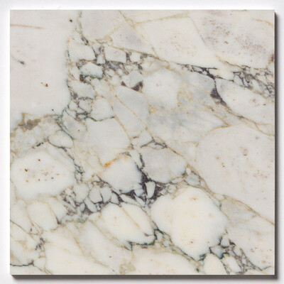 Calacatta Picasso Honed Marble Tile 24x24
