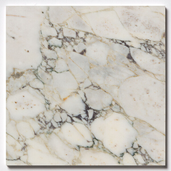 Calacatta Picasso Honed Marble Tile 24×24 Image