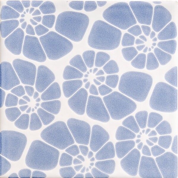 Ocean Weave Glossy Nautilus Cluster Ceramic Tile 6×6 Image