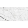 White Carrara Honed Marble Tile 6×12 Image