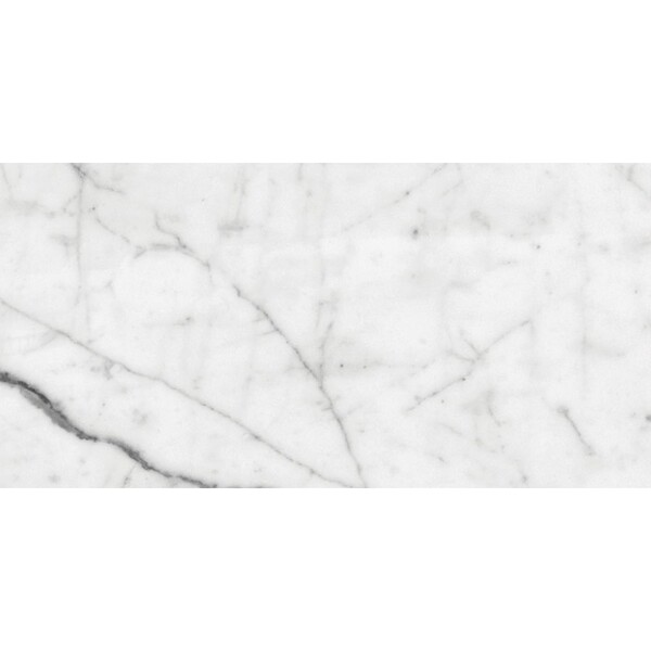 White Carrara Honed Marble Tile 6×12 Image