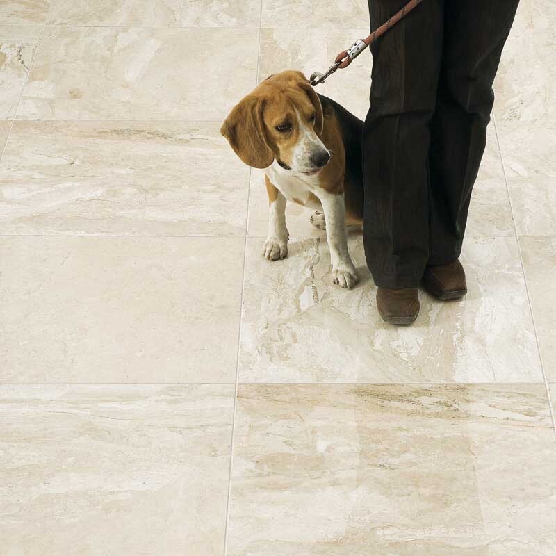 Diana Royal Polished  Marble Tile 18×18