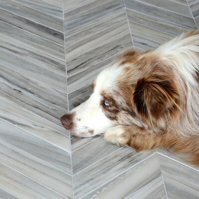 Bosphorus Skyline Vein Cut Multi Finish Marble Waterjet Decos 13 7/16x 13 7/16 (YNR10051)