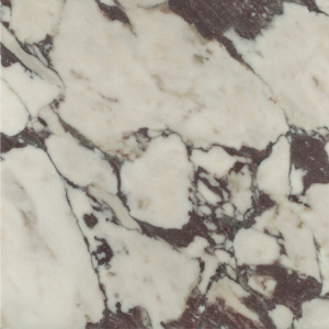 Calacatta Viola Marble Collection
