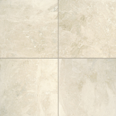 cappuccino-polished-tile-2