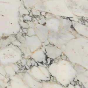 Calacatta Picasso Marble Collection