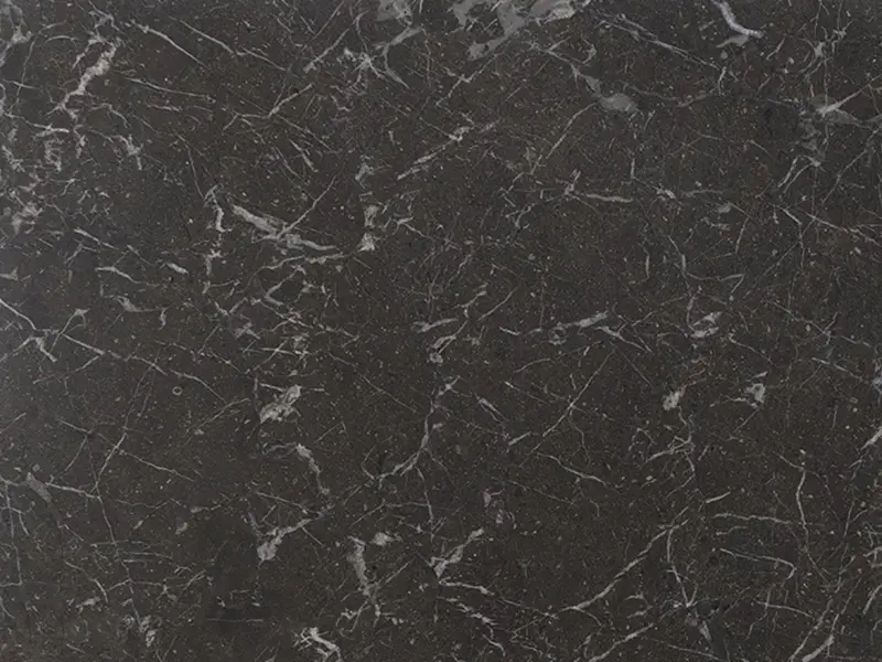 iris-black-polished-slab-th