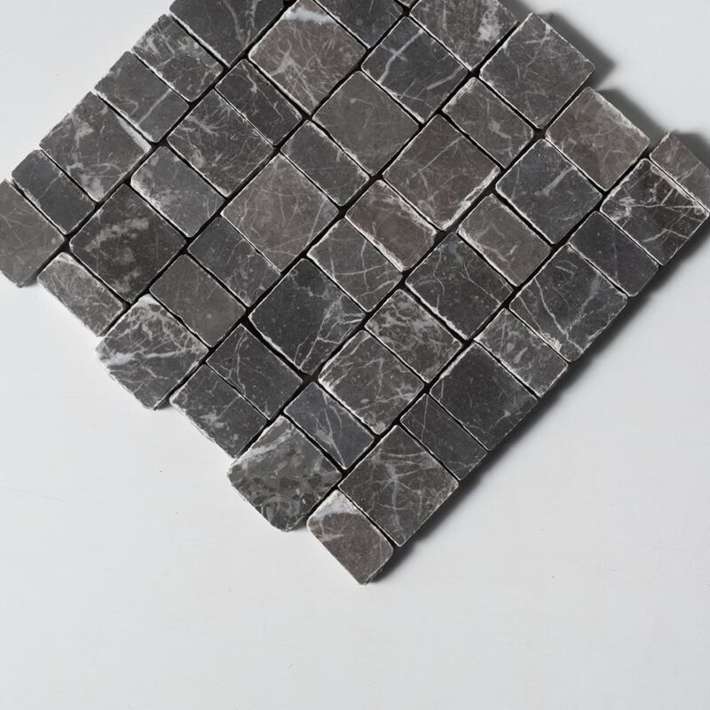 MS02842-2