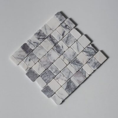 MS02845-2