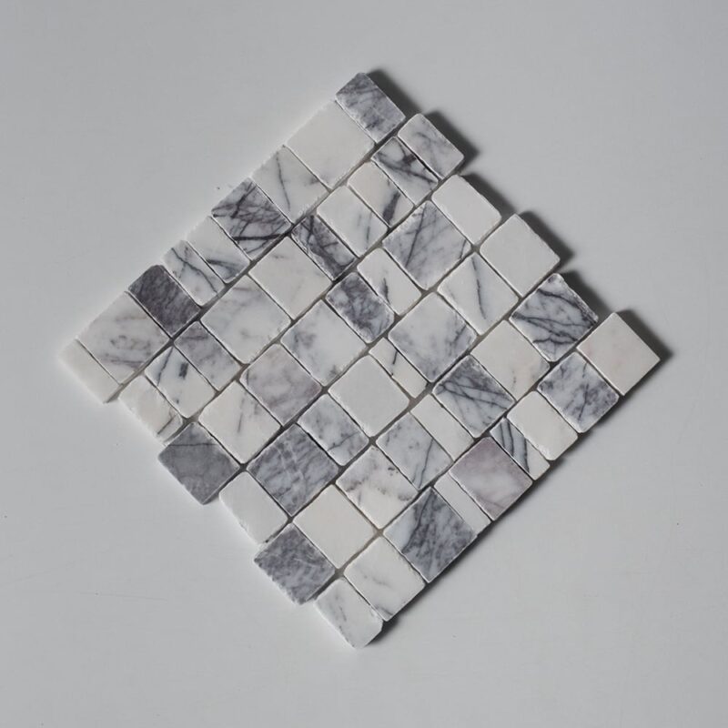 MS02845-2