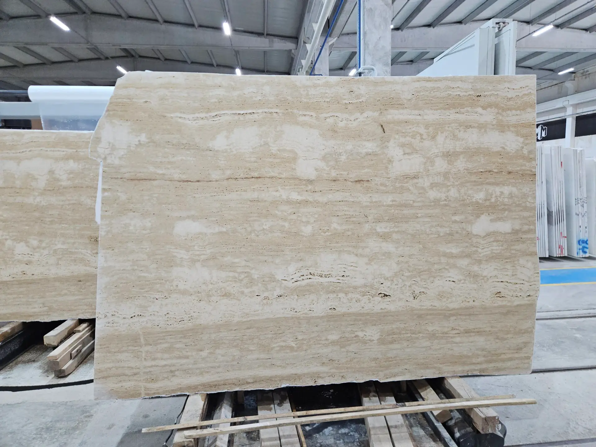 Ivory Honed Slab 3441